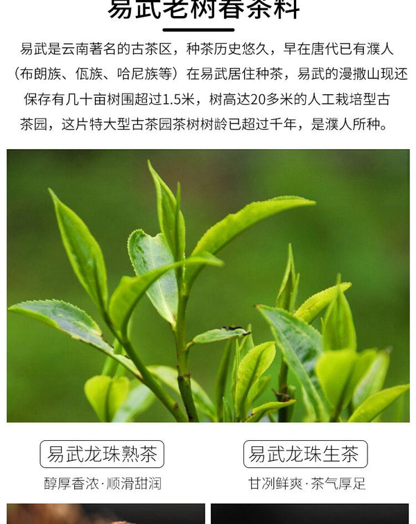 Yunnan Pu'er Raw Tea Yiwu Ancient Tree Longzhu Menghai Cooked Tea Xiao Tuo Tea