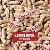 Yunnan Roasted Peanuts – Shelled, Colorful & Fresh, Wholesale Snack Seeds