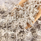 Zhangjiajie Wild Berry Tea Premium Authentic Tender Buds Natural Herbal Blend