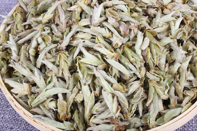 Yunnan Tea Daxue Mountain Early Spring White Buds Old Tree Puerh Raw Tea 500g