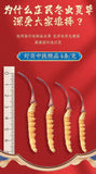 Cordyceps Sinensis Plump and Non-breaking Grass 4 Pieces/g Dong Chong Xia Cao