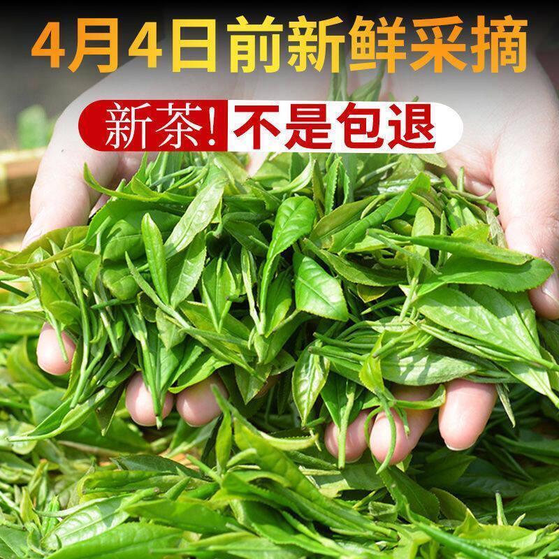 Xinyang Maojian Chinese green Tea Packing High Quality Mao Jian Tea 250g