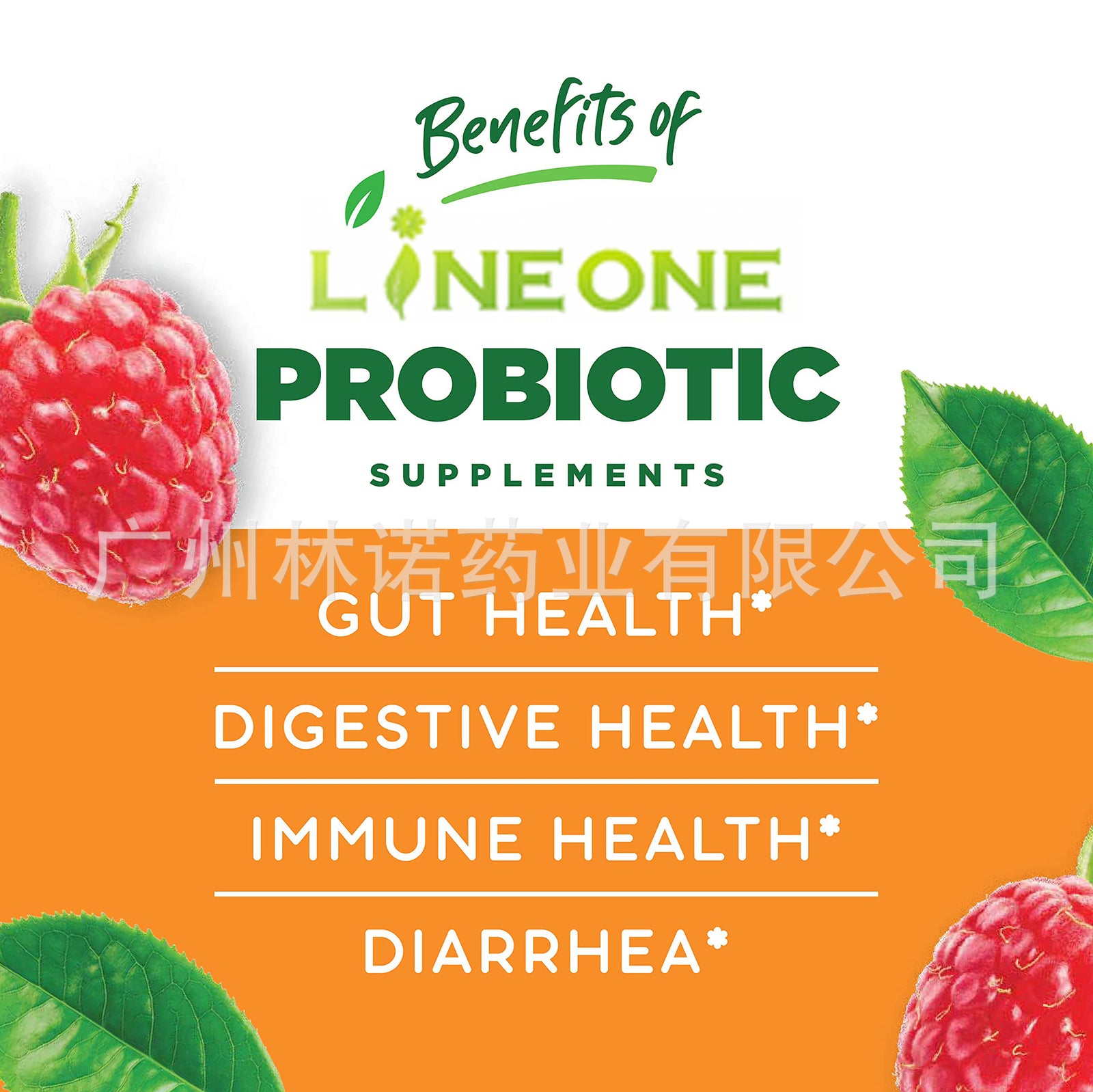 Daily Probiotic Gummies-5Billion CFU Extra Strength Probiotic Supplement 60 Pcs