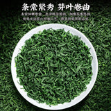 Premium Cloud Mist Green Tea Ming Qian Spring Tea 50g High Mountain Floral Aroma