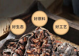 50 Grams Fresh Hainan Noni Fresh Fruit Dried 50g Morinda Citrifolia Herbal Tea