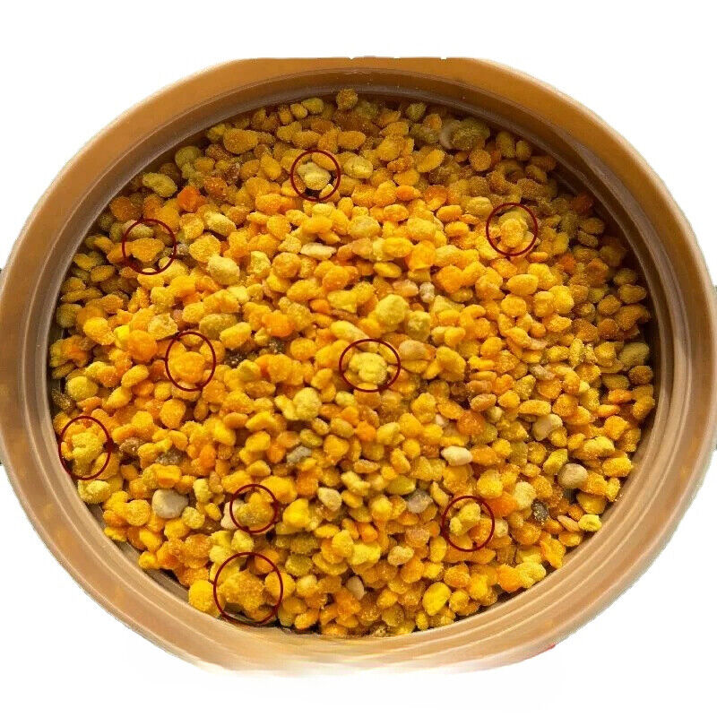 Bee Pollen Powder 8.8oz Natural Vegan Gluten Free Secondary image