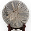 357g Lao Tong Zhi 7978 Haiwan Old Comrade Puer Tea Cake Ripe Pu-erh Shu Tea