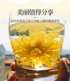 Brand Golden Silk Chrysanthemum Tea Herb Tea Round Pot Good Tea 20G