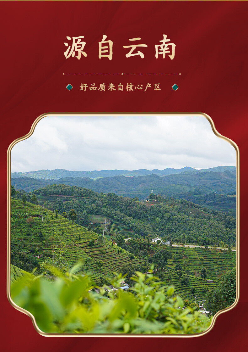Natural Puerh Ripe Tea Cake 357g Big Leaf Pu-erh Tea Cake