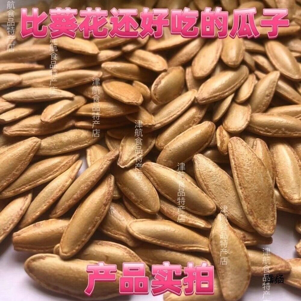 Large Long Type Salted Pumpkin Seeds Snack