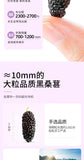 200g Dried Black Mulberries No Sand Premium Grade Sweet and Fragrant