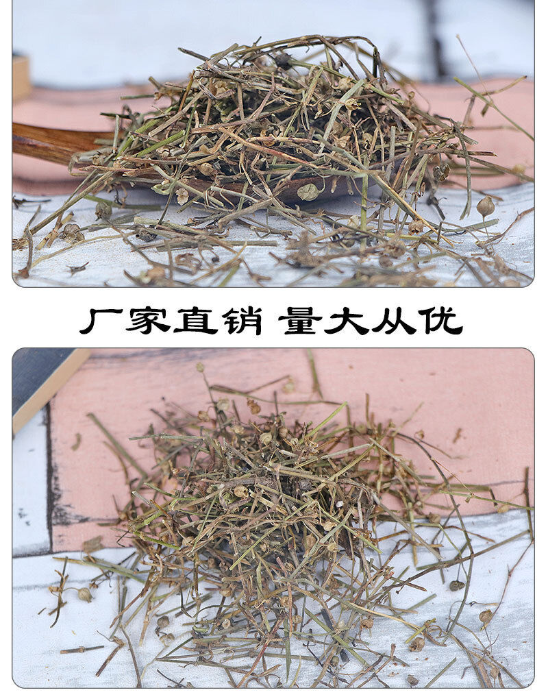 New Crocus sativus Herbal Medicine Crocus sativus Agricultural Product 500g