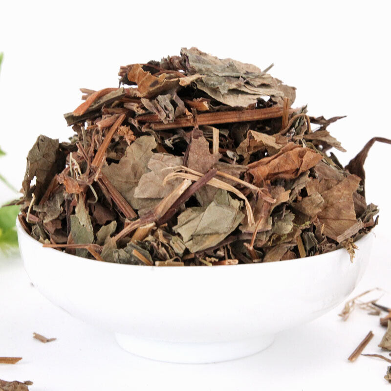 Fishweed Tea Large stock Folded Ear Root Fishweed Dried Chinese Herbs 500g/1.1lb