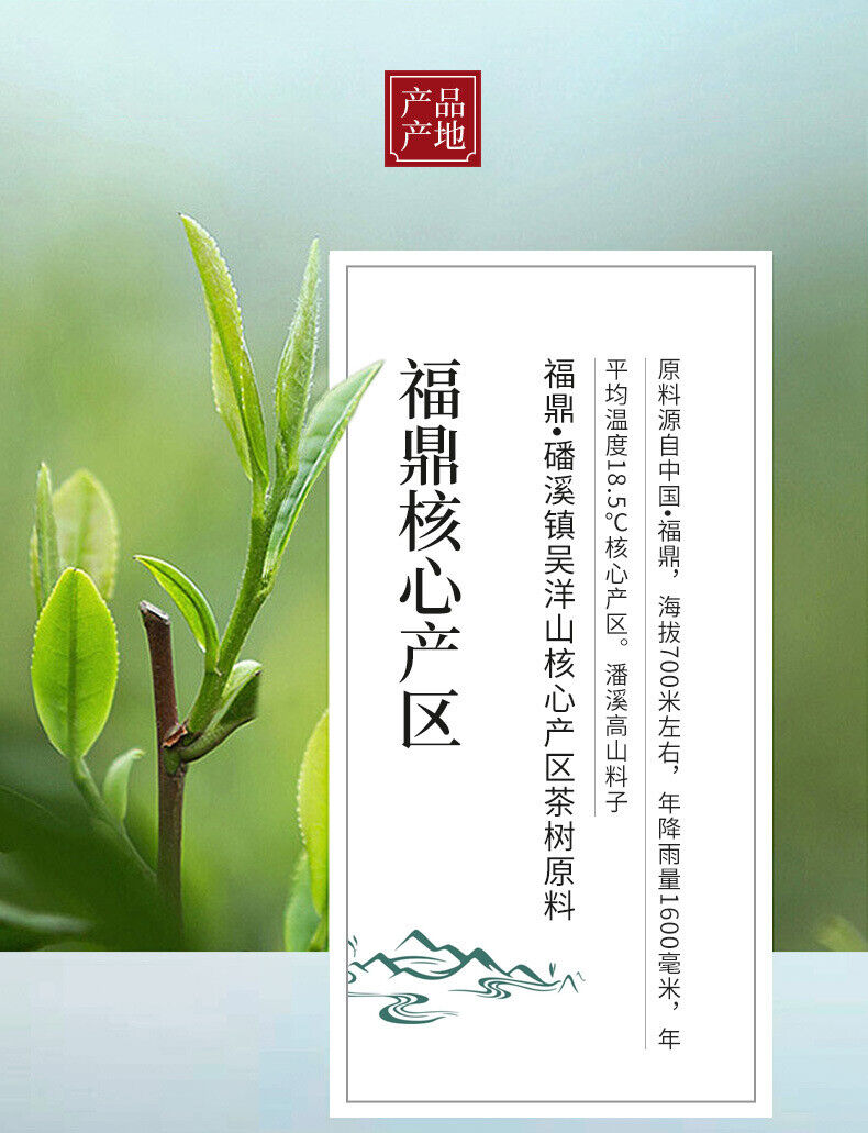350g Fuding White Tea Panxi Gongmei Shoumei Gaoshan Sunshine Old White Tea Cake