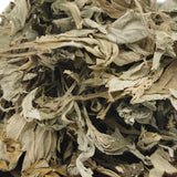 Big Mugwort Leaf Mugwort Leaf Fresh Mugwort Leaf Produce Mugwort Herb 500g/1.1lb