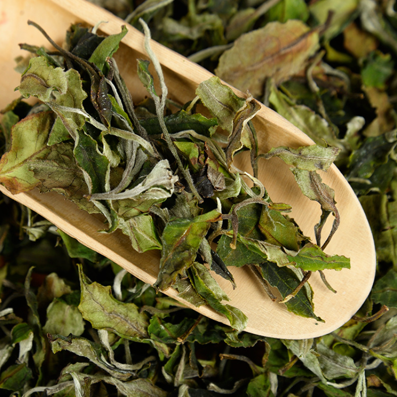500g Yunnan white tea early spring ancient Fuding white tea process white tea Main image