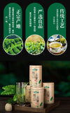 Premium 2025 Spring High Mountain Cloud Mist Green Tea 50g Can Strong Aroma