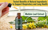 100% Support Lung Cleanse Mullein Leaf Extract Drops All-natural Ingredients