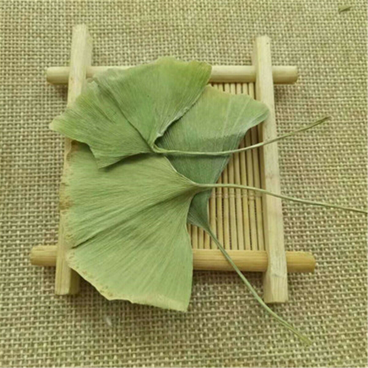 Herbal Tea Ginkgoblätter Tee Chinesisches Kräuterheilmittel Der Wildpflanze Wild