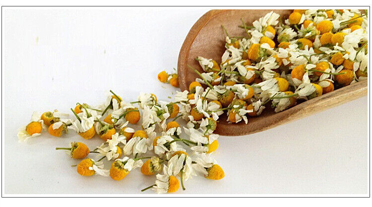 Chamomile new chamomile dried flowers chamomile petals froth flowers crushed