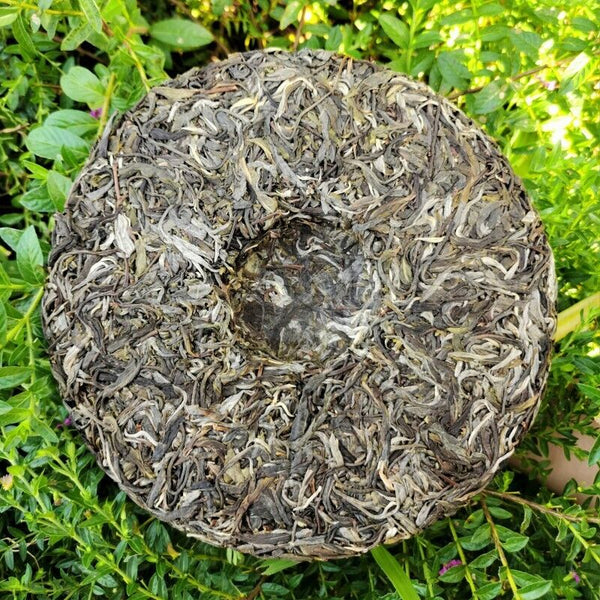 357g Spring Tea Pu'er Tea Cake Top Jingmai Ancient Tree Cha Tea Pu'er Gift Tea