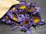 FullChea -Whole Egyptian Blue Lotus Flower Tea Water Lily Natural Herbal 1oz/30g