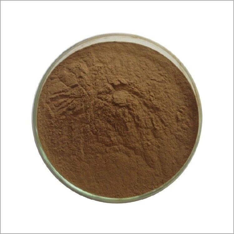 200gHigh quality Angelicae Sinensis Radix / Chinese Angelica Extract 20:1 Powder Main image