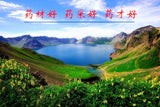100g American Ginseng Slices Changbai Mountain High Quality Ginseng Slices