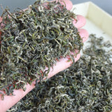Biluochun new tea alpine green tea strong fragrance bean fragrance loose tea500g