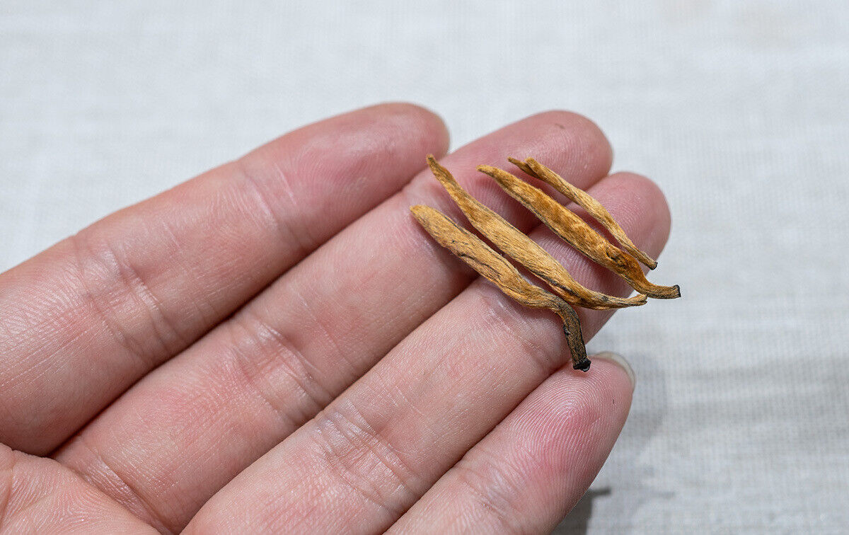 500G Yunnan Black Tea Mini Gold Needle Fengqing Dian Hong Tea Small Gold Needle