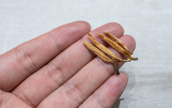 500G Yunnan Black Tea Mini Gold Needle Fengqing Dian Hong Tea Small Gold Needle