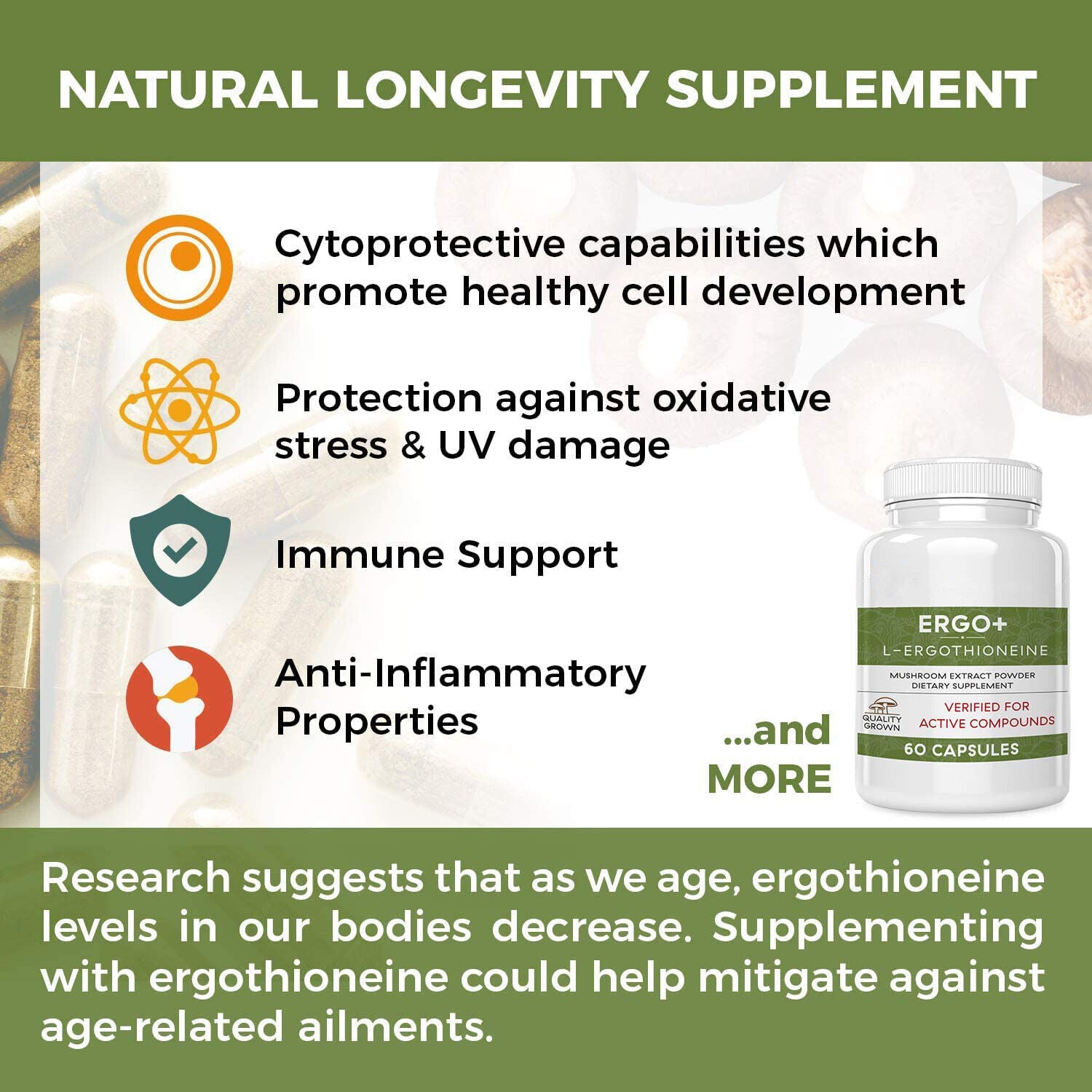 ERGO+L-ERGOTHIONEINE Oyster Mushroom Capsule Supplement 60 Capsules