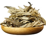 Big Mugwort Leaf Mugwort Leaf Fresh Mugwort Leaf Produce Mugwort Herb 500g/1.1lb