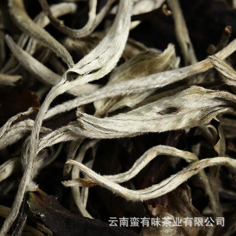 500g Yunnan Jinggu Yangta Ancient Tree White Tea One Bud One Leaf Scattered Tea Secondary image