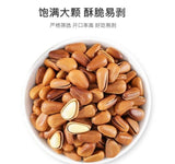 Premium Pine Nuts Large Kernel Handpicked Healthy Snack Natural Protein