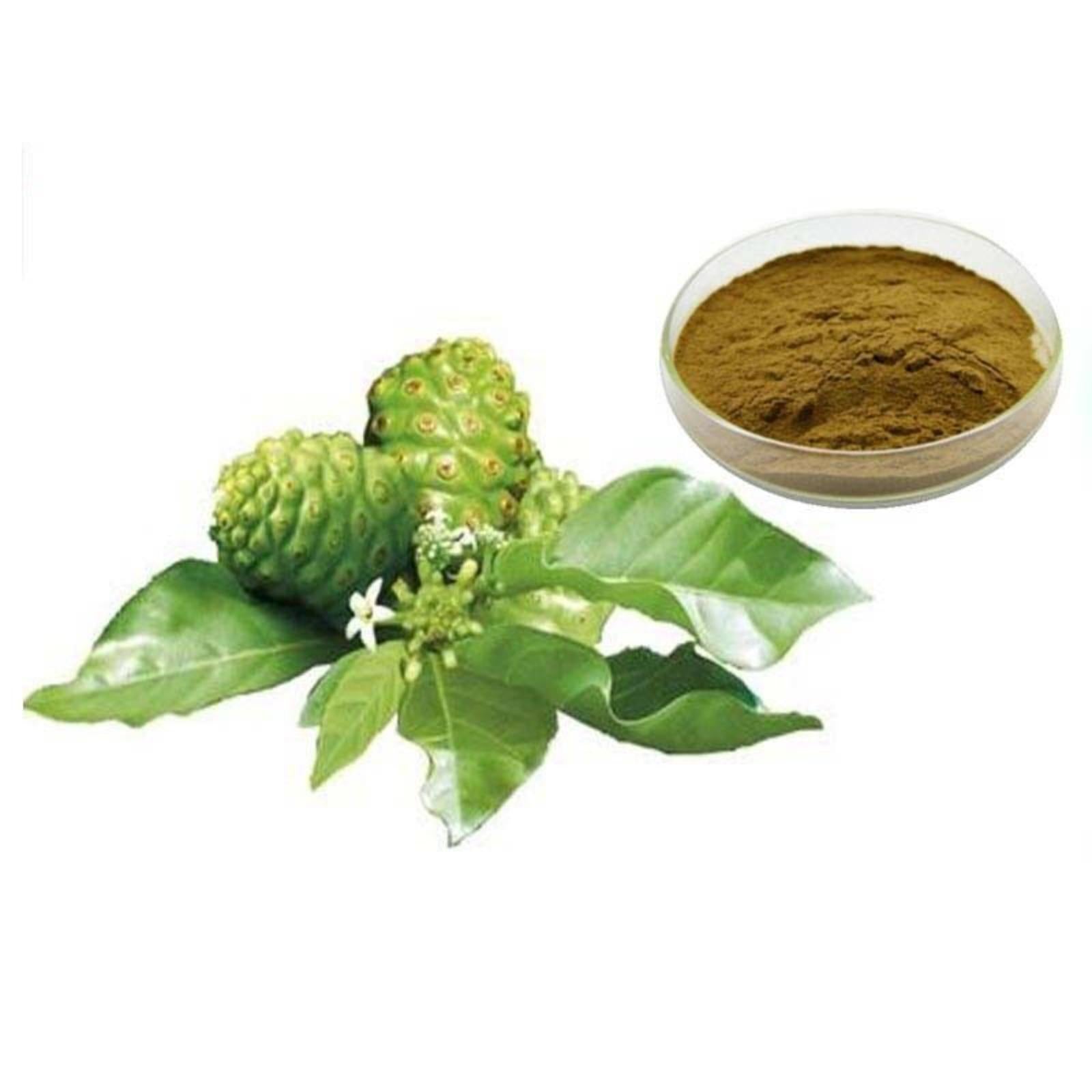 100g Noni Extract 10:1 Powder | Morinda Citrifolia for Weight Loss & Energy Main image