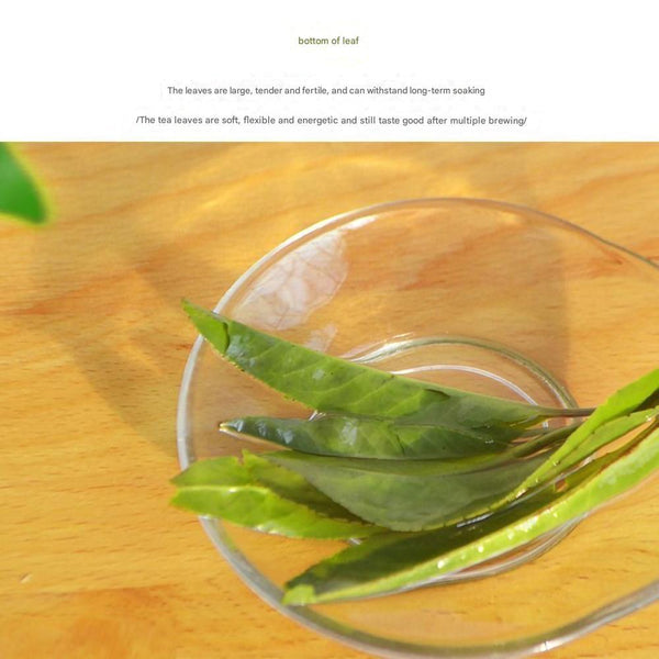 Authentic Hainan Wuzhishan Kuding Tea Large Leaf Kuding Tea - New Tea