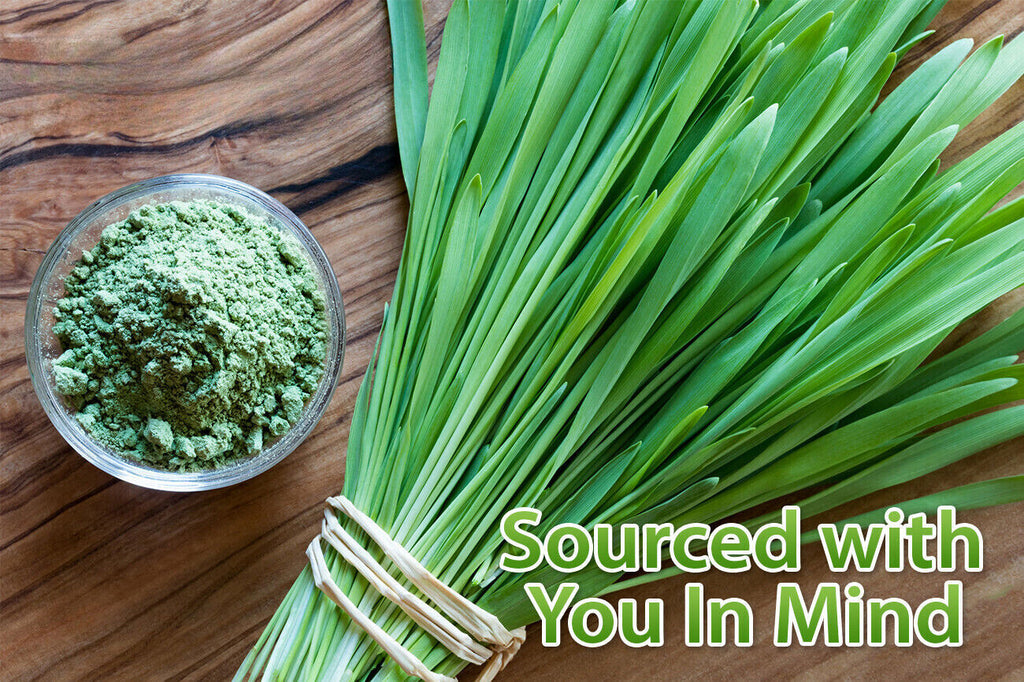 HELLOYONG Young Barley Grass Powder 250g 500g 1000g Młody Zielony Jęczmień