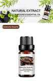 Herbal Essential Oil of Cistanche Deserticola Men's Health Care Massage Oil 10ml