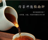 Aged Fuding Shou Mei White Tea Cake 100g Jujube Scented  Herbal Chinese Tea