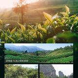 100g Lao Cong Shui Xian Oolong Tea China Fujian Rock Tea High Quality Yan Cha
