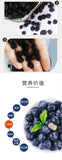 100% Natural Dried Wild Blueberries | No Sugar Added | Healthy Snack | 100g