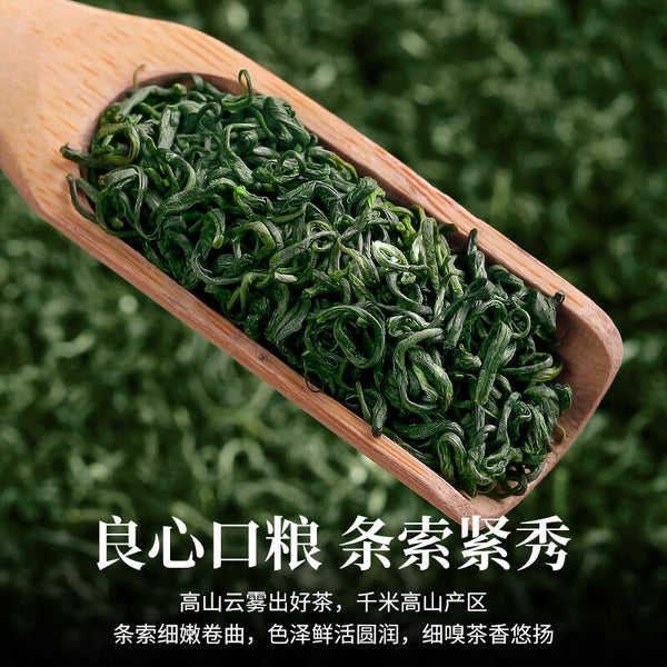 High Mountain Cloud Maojian Green Tea Loose Leaf 2025 Spring Harvest Fragrant