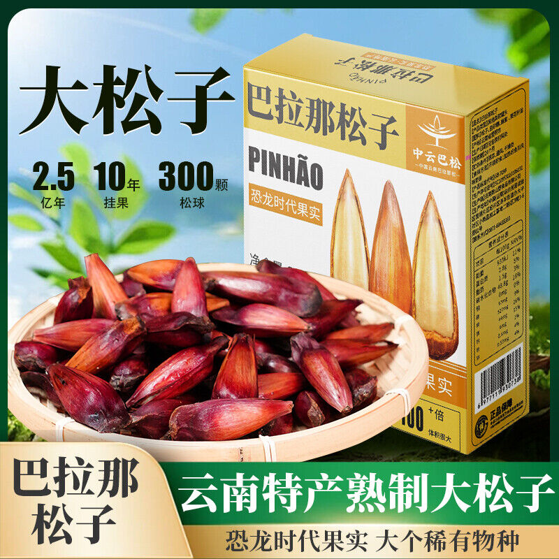 Premium Authentic Parana Pine Nuts Natural High Quality For Sale On Ebay Main image