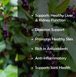 Sarsaparilla Root Bark Extract Powder 10.58oz/300G | HELLOYOUNG