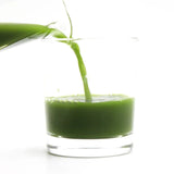 HELLOYOUNG Organic Barley Grass Powder 1kg - Daily Nutrient Booster