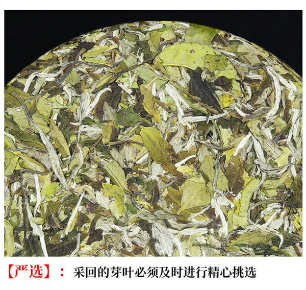 2025 Fuding Bai Mu Dan White Tea Cake Floral Aroma Spring Buds Loose Leaf
