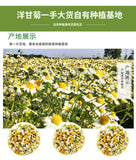 Bulk chamomile chamomile dried flowers chamomile petals flower foam 17.6oz