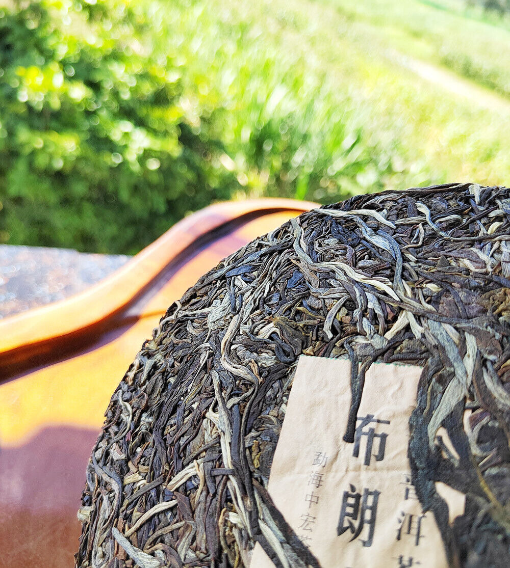 Yunnan Menghai Pu'er Tea Brown Mountain Early Spring Arbor Pu'er Raw Tea Cake