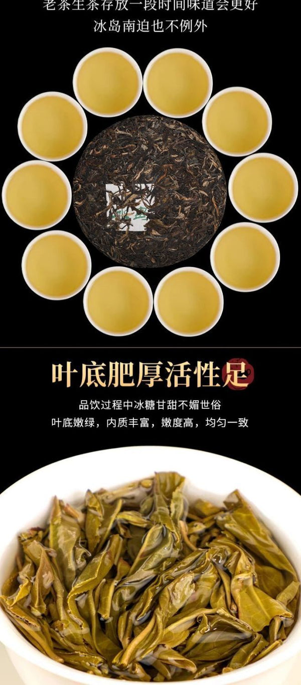 Iceland Puerh Tea Raw Tea Yunnan Menghu Cake Tea Ancient Tree Spring Tea 357g